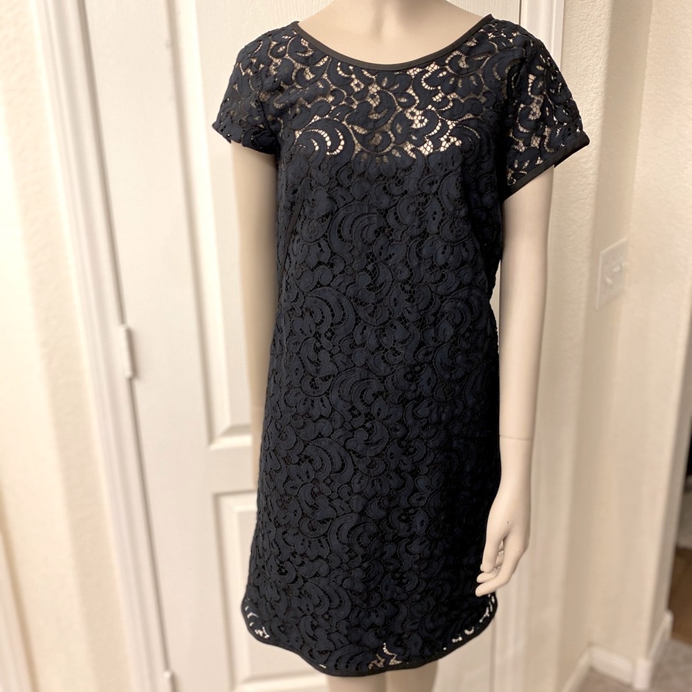 Loft lace black dress
